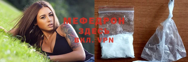 прущие грибы Богданович