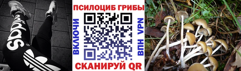 наркошоп  blacksprut онион  Галлюциногенные грибы MAGIC MUSHROOMS  Мамадыш 